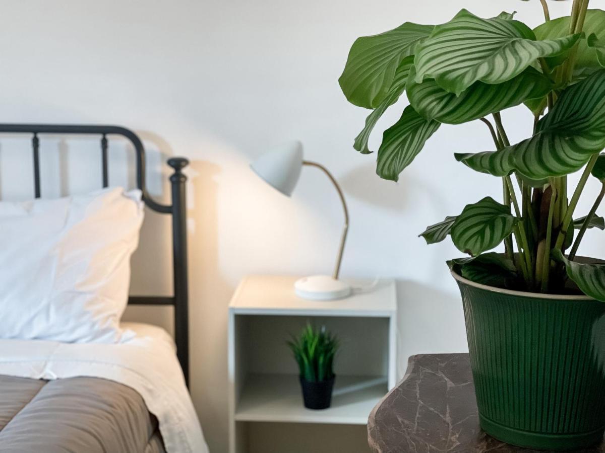 Apartamento Sestio House Roma Exterior foto